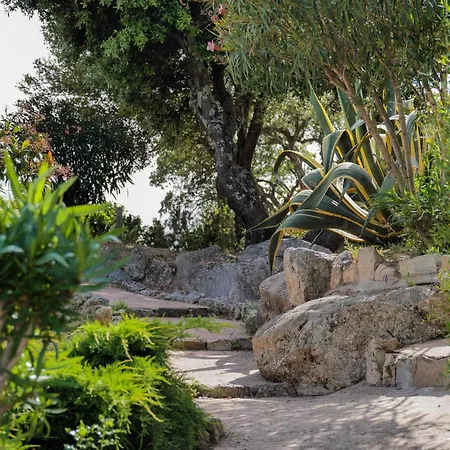 Casa Di Sole سوتا