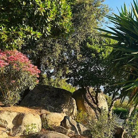 Casa Di Sole Sotta